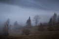 Trees on a hill in a foggy morning Royalty Free Stock Photo