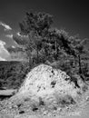 Troodos nature in b&w, Cyprus