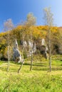 Trees and hills in autumn colors /  landscape, Poland Royalty Free Stock Photo