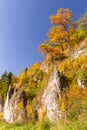 Trees and hills in autumn colors /  landscape, Poland Royalty Free Stock Photo