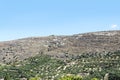 Trees on hills stone hills on the island of Crete.