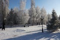 trees in hoarfrost against a blue sky

Ã¯Â¿Â¼ Royalty Free Stock Photo