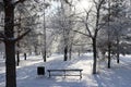 trees in hoarfrost against a blue sky

Ã¯Â¿Â¼ Royalty Free Stock Photo