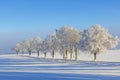 Trees with hoarfrost at a road in a snowy rural landscape