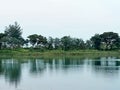 Trees horizon green reflection