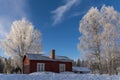 Trees and house during winter with snow