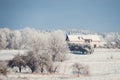 Trees and houses all are frosty, cold winter Royalty Free Stock Photo