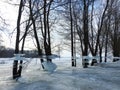 Trees with ice pieces after flood, Lithuania Royalty Free Stock Photo