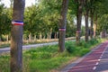 Trees with inverted Dutch flags as a sign of the Dutch farmers` protest