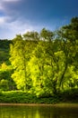 Trees on an island in the Delaware River, seen at Delaware Water Royalty Free Stock Photo