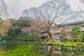 Trees in Japanese garden with lake or pond in Fujisan Hongu Sengen Taisha temple, Fujinomiya, Shizuoka city, Japan. Tourist Royalty Free Stock Photo
