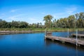 Trees and a jetty reflecting in the water of the river Dender around Geraardsbergen, East Flemish Region, Belgium