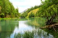 Trees and lake Royalty Free Stock Photo