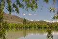 Trees by the lake Royalty Free Stock Photo