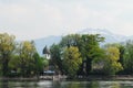 Trees on Lake Chiemsee Royalty Free Stock Photo