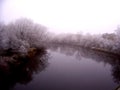 Trees and lake in frost. Royalty Free Stock Photo