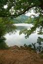 Trees in the lake in the mountain