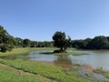 Trees and lake in Rai Mae Fah Luang