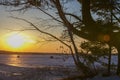 Trees at lake Superior shore foreground during winter sunset time Royalty Free Stock Photo