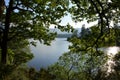 trees by lake windermere in the lake district