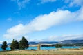 Trees At Lakeside Of The Lake Tekapo