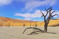 Trees and landscape of Dead Vlei desert, Namibia Royalty Free Stock Photo