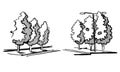 Trees for a landscape design. Different hand drawn trees isolated on white background, sketch, architectural drawing