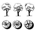 Trees for a landscape design. Different hand drawn trees isolated on white background, sketch, architectural drawing Royalty Free Stock Photo