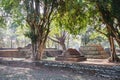 Trees and Laterite Structure at Wat Pra Khaeo Kamphaeng Phet Province, Thailand Royalty Free Stock Photo