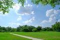 Trees and lawn on bright summer day in public park Royalty Free Stock Photo