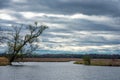 Horicon Marsh Freshwater Royalty Free Stock Photo