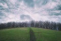 Trees without leaves on a green hill with a rut and a cloudy sky Royalty Free Stock Photo