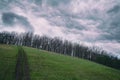 Trees without leaves on a green hill with a rut and a cloudy sky Royalty Free Stock Photo