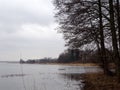 Trees without leaves in spring time by the lake Royalty Free Stock Photo
