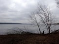 Trees without leaves in spring time by the lake Royalty Free Stock Photo