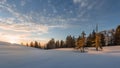 Trees lighted from sunset at snow field Royalty Free Stock Photo