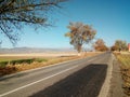 Road with trees lined up Royalty Free Stock Photo