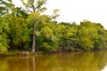 Trees lining the shore line at Martin Park, Landscape Photo