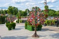 Trees with locks of lovers on a trees Royalty Free Stock Photo