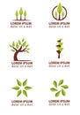 Trees logo design