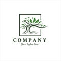 Trees logo designs inspirations , root , leaf