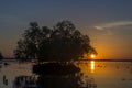 Trees longer life. Death at sunset.