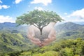 Trees in the man's hand sticking out of the sky on a blurred background. The concept of natural trees to restore the forest.