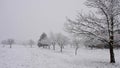 Trees and meadows under heavy snowfall Royalty Free Stock Photo