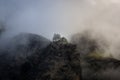 Trees on misty rocks Royalty Free Stock Photo