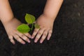 Trees with money, saving money and growing hands.Children`s hands planted on black soil.