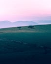 Trees on the Monte Subasio in Italy during sunset Royalty Free Stock Photo