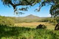 Trees with a mountain background, Mount Kenya Royalty Free Stock Photo