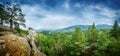 Trees on the mountain. Carpathian, Europe. Royalty Free Stock Photo