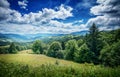 Trees on the mountain. Carpathian, Europe. Royalty Free Stock Photo